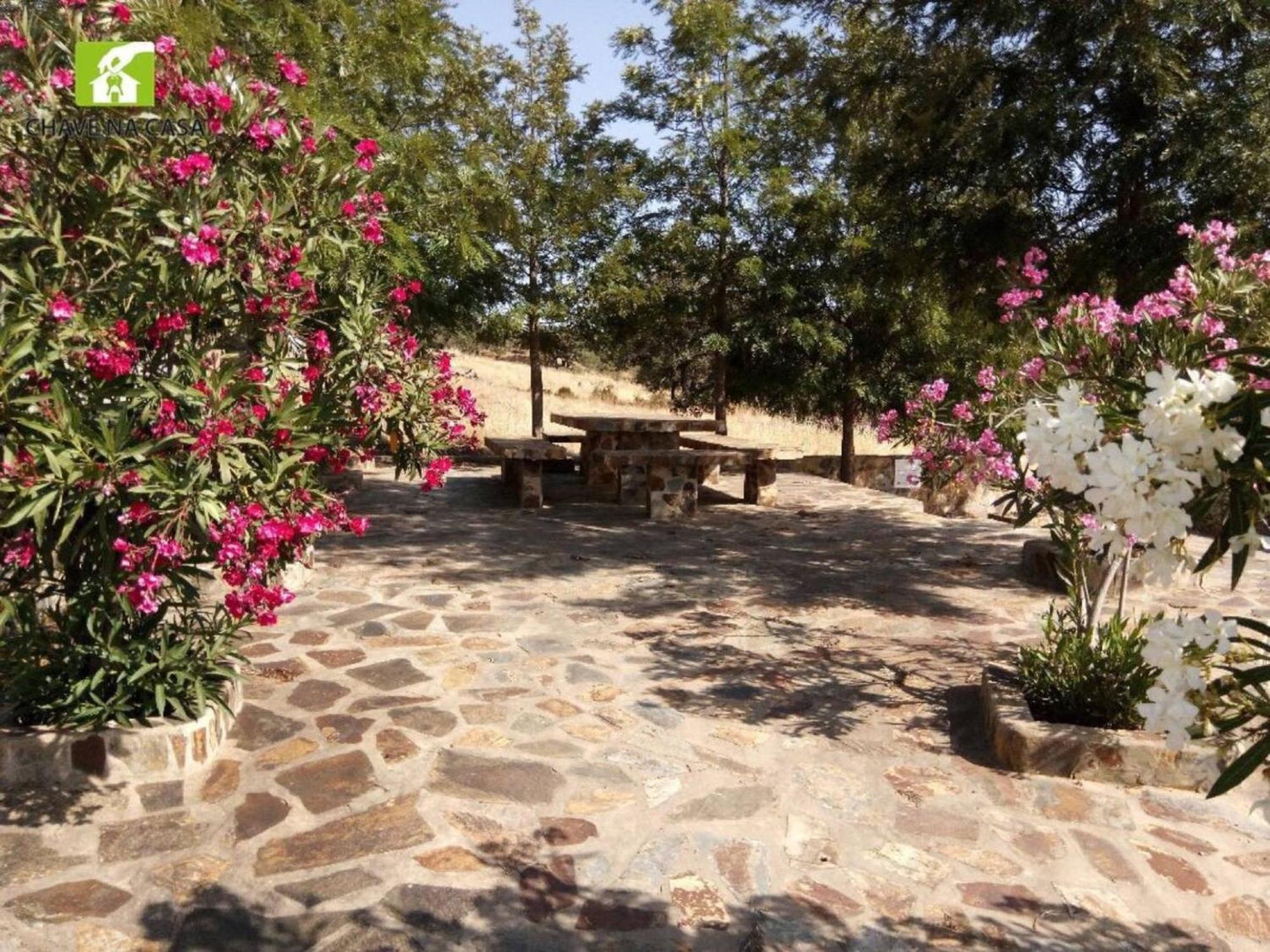 Casa Das Bonecas Farelos de Baixo 外观 照片